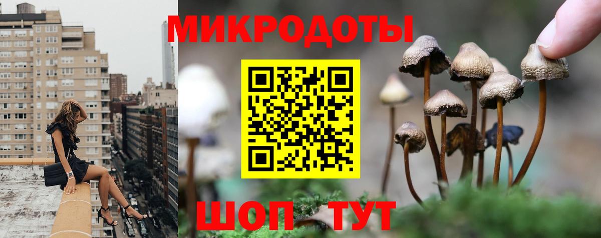 Псилоцибиновые грибы Psilocybe  Галлюциногенные грибы мухоморы  Вход с VPN  Егорьевск 